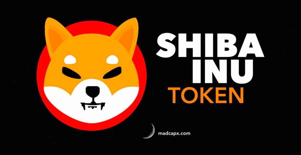 Shiba Inu